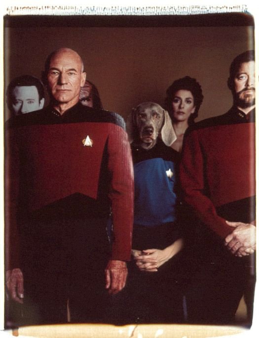 William Wegman weimari vizslái 3