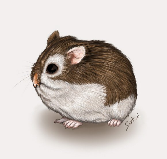 dwarf_sowl_by_Santani