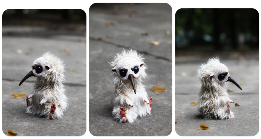 t_r__kiwi_by_santani