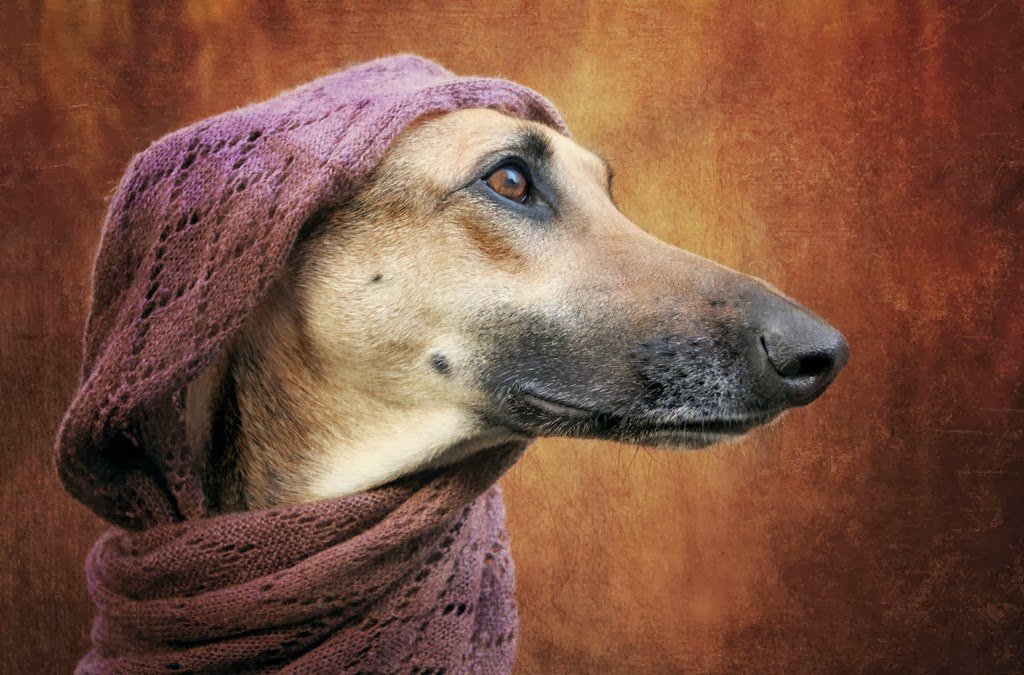 01_Elke_Vogelsang