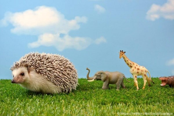 BgqPqdZCcAEZyrS.jpg large