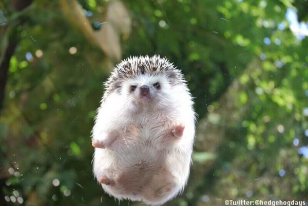 Bk5FqLoCMAAHWzO.jpg large