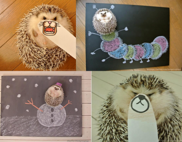 Bkxvna7CYAAUWNX.png large