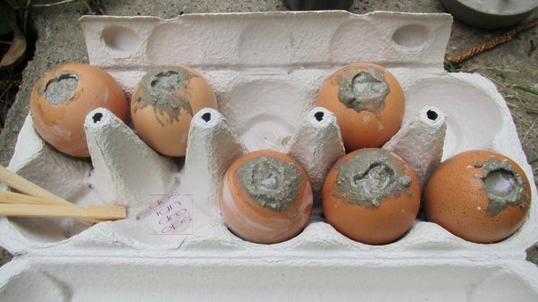 betontojás1 másolata