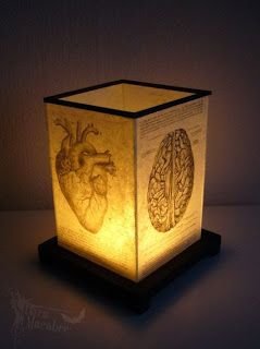 d08faced1dd30996a8f6d70e2b6ab45b