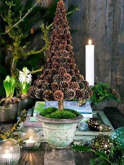 beautiful cone tree...~<3~: